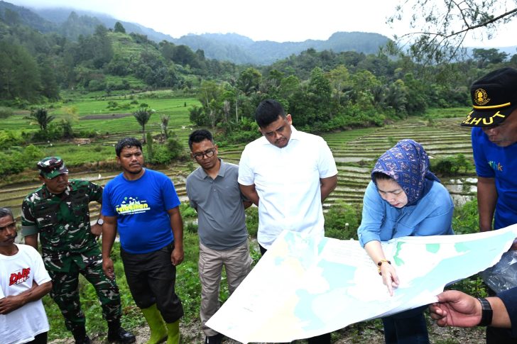 Kawasan Hutan