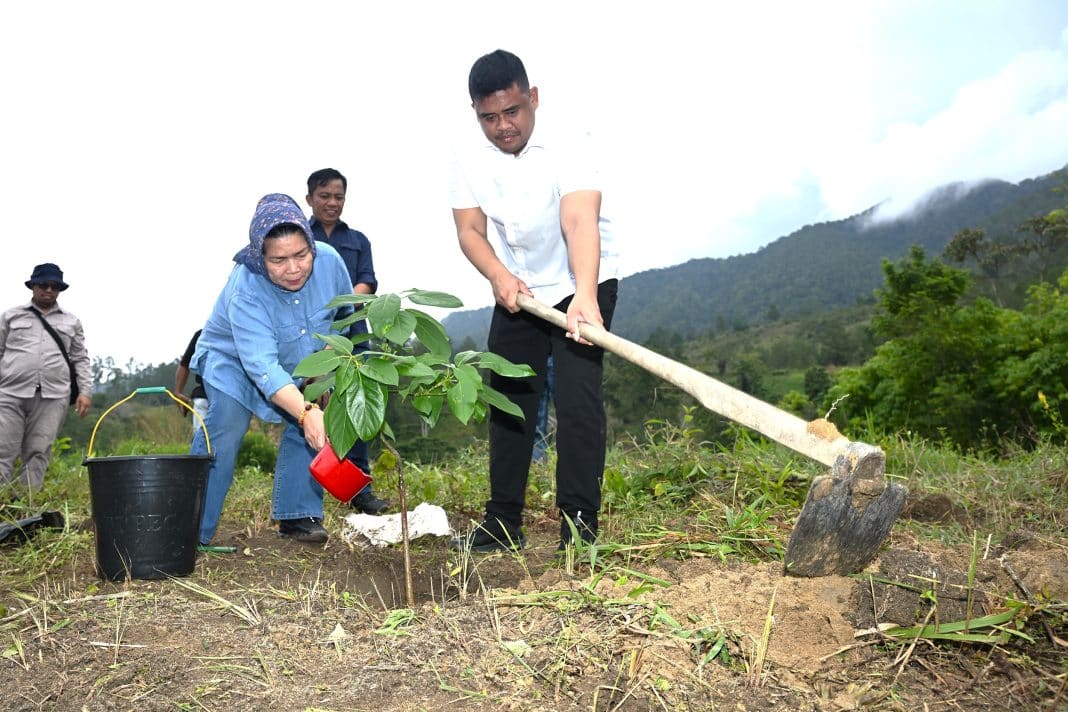 Kawasan Hutan