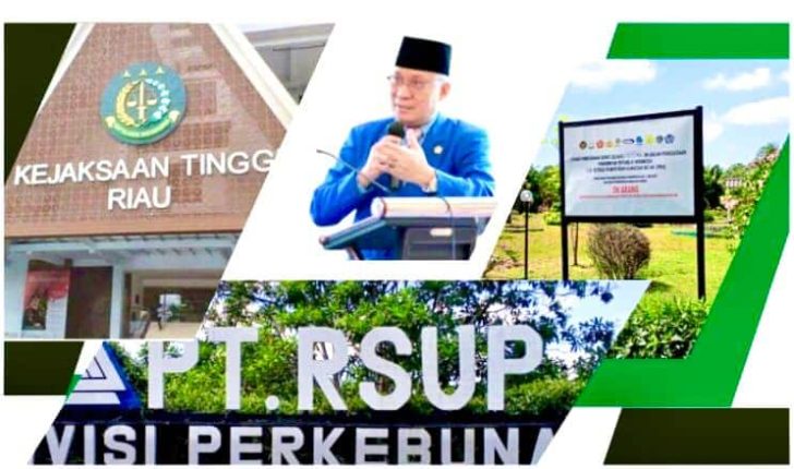 PT RSUP - Wilson PT RSUP