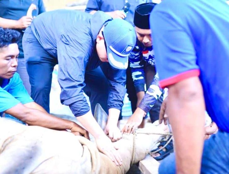 Tebar Qurban PAN Kota Medan: Menyentuh Hati, Berbagi Berkah Idul Adha 1447 H 2 Tebar