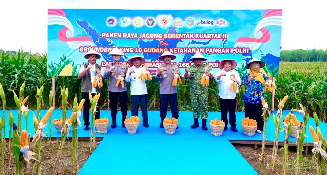 Panen Raya