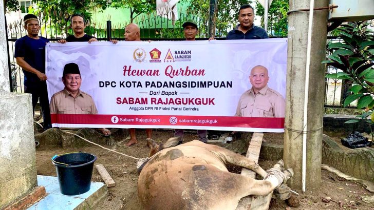 Sapi Kurban