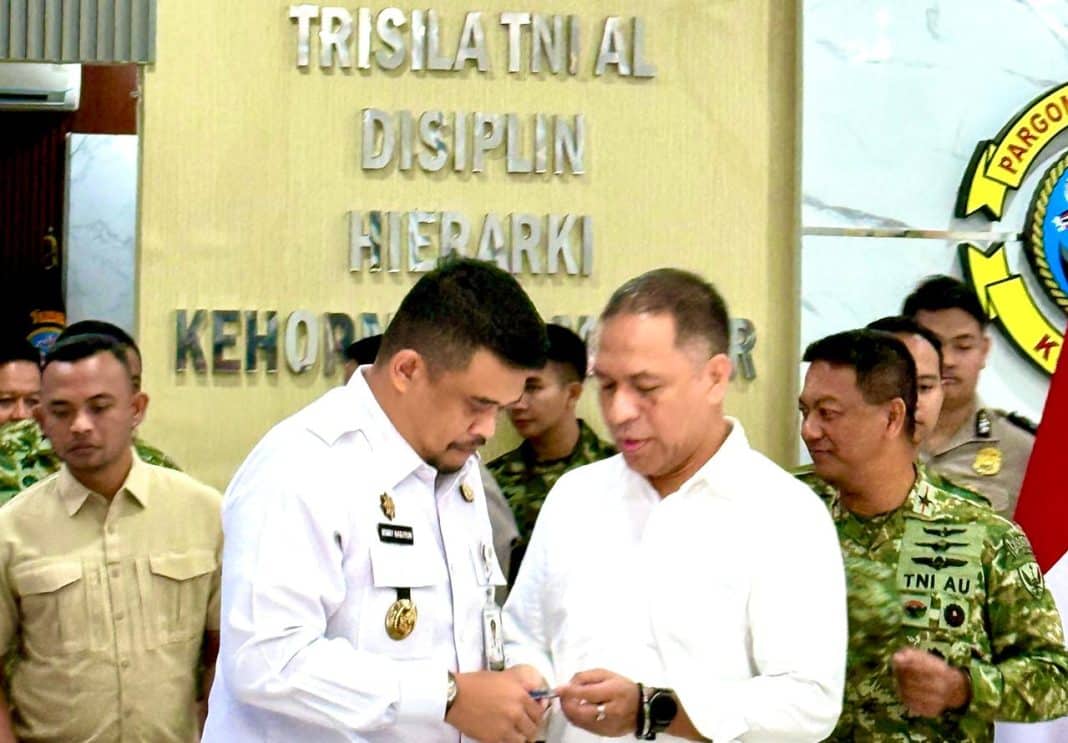 Sinergi